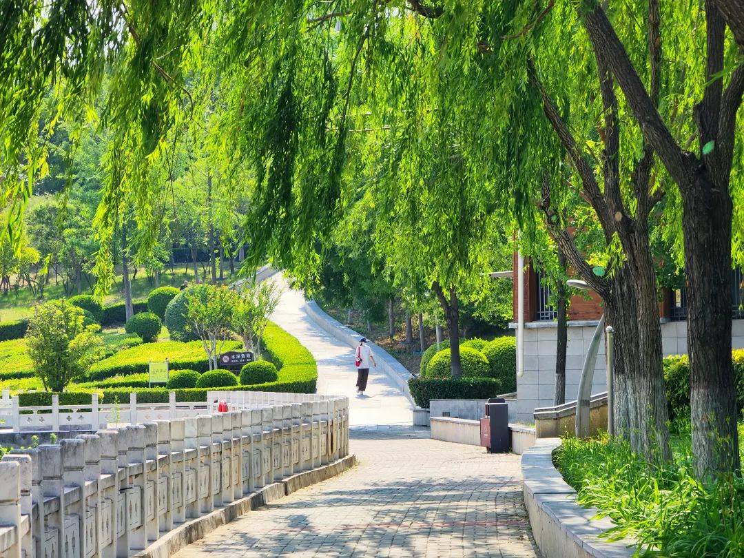 郑州兰河公园:一条玉带穿绿廊,透风,透光,清静,清凉