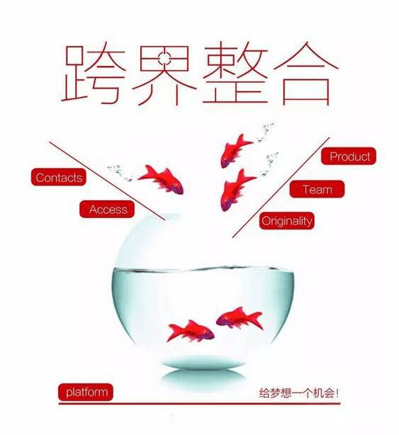 图片[6]-破圈突围：品牌跨界营销的底层逻辑与实战法则-中小企实战运营与营销工作室