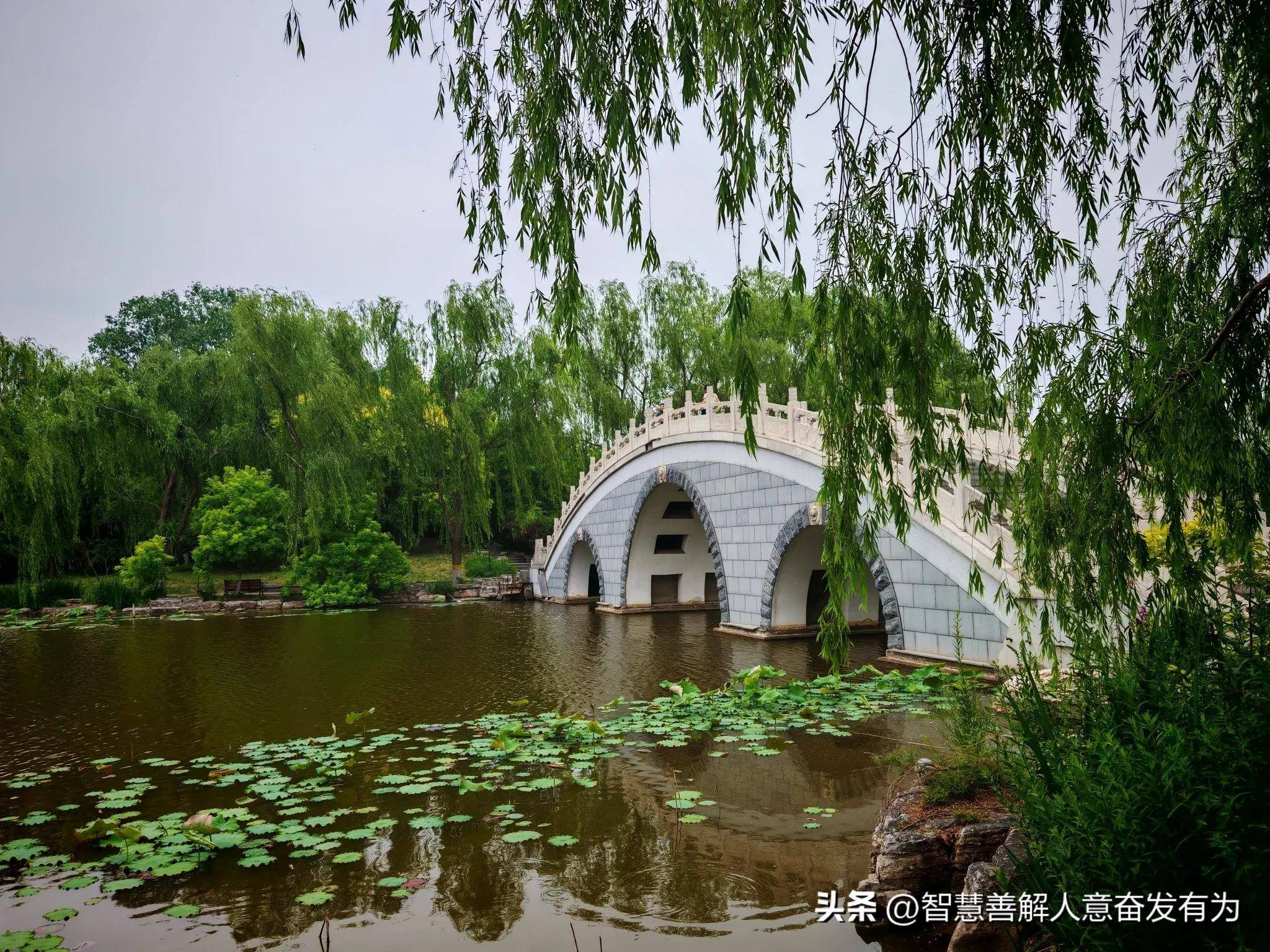 2025夏季必打卡地,津北森林风景区,天津市休闲好去处!