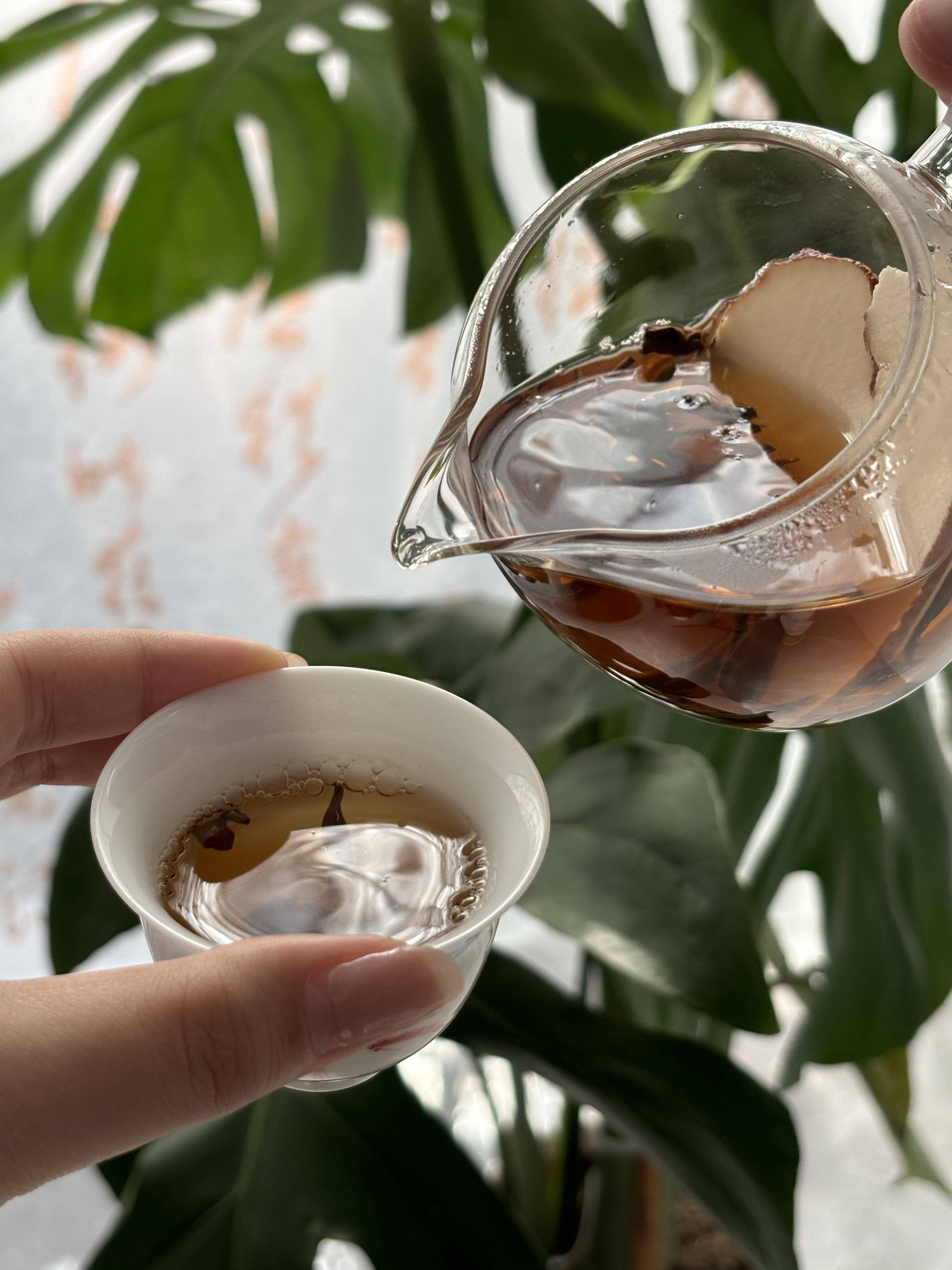 海南虎乳灵芝当本土特产走进生物考卷一场关于知识与产业的双向奔赴