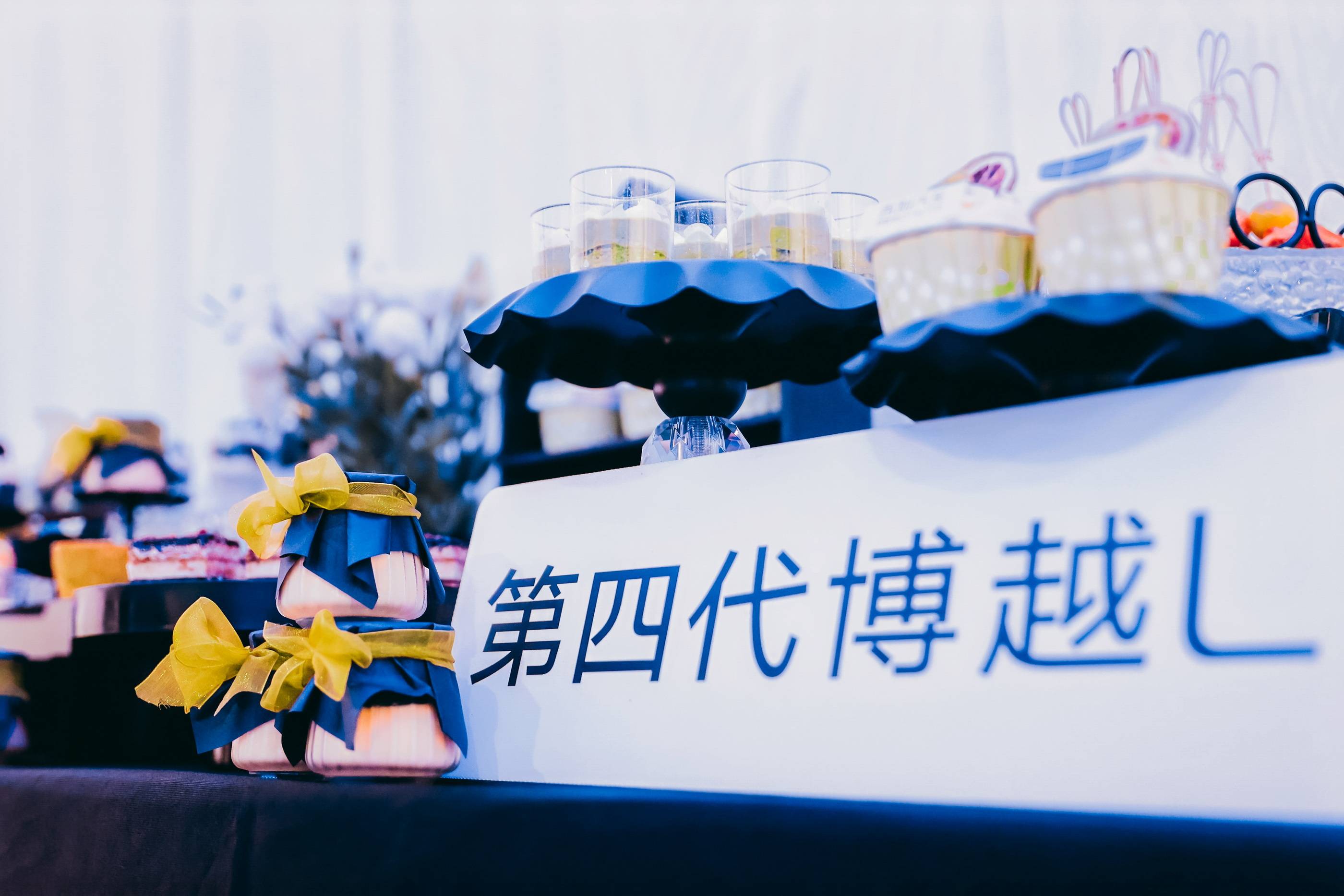 吉利第四代博越L 入画山河中国行·区域上市暨交付派对-杭州站
