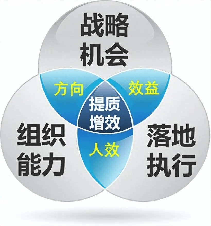 图片[7]-公司战略规划涉及哪些步骤？-中小企实战运营与营销工作室