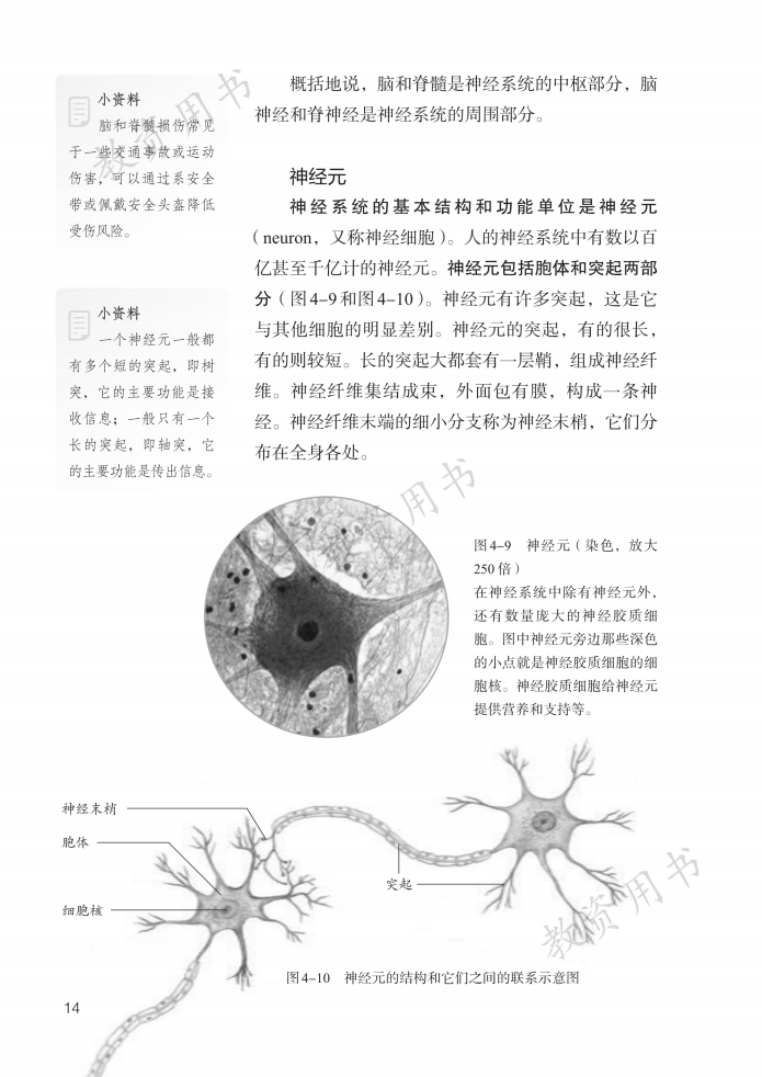八年级生物上册第三章
  第1张 
八年级生物上册第三章
  第1张