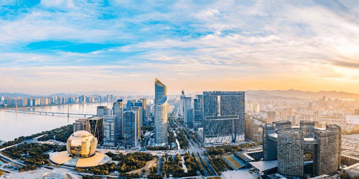 杭州土地市场“一枝独秀”