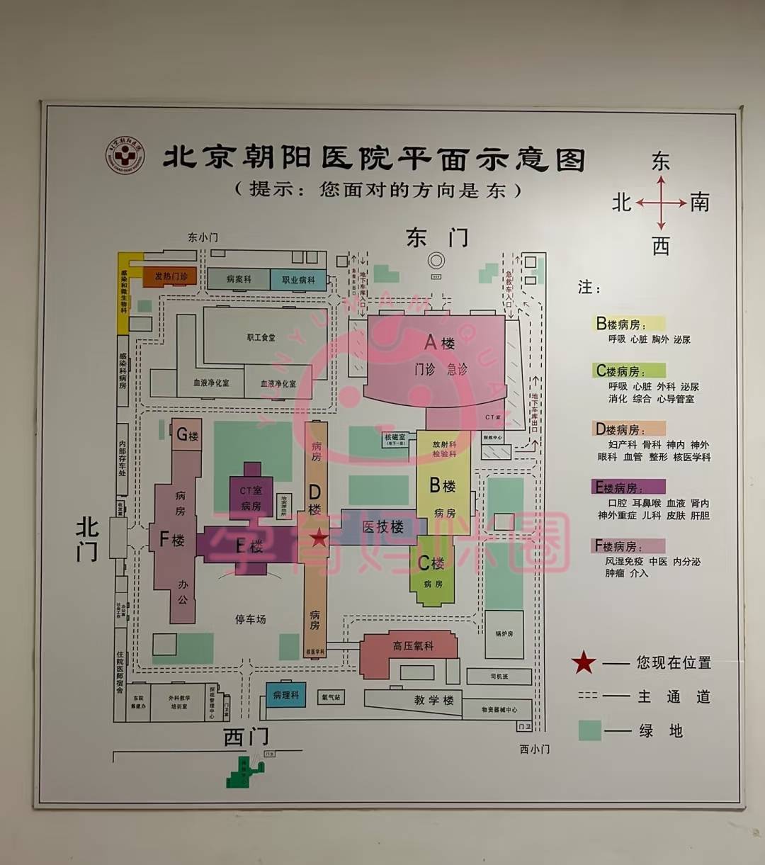 朝阳医院检查陪护加挂号全天24小时陪护服务,随叫随到的简单介绍 朝阳医院检查陪护加挂号全天24小时陪护服务,随叫随到的简单介绍