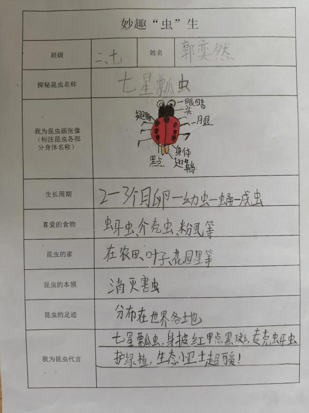 【智源纪-全环境立德树人】探秘昆虫世界,绽放阳光童
