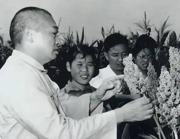 _元帅们的合影_五位元帅合影