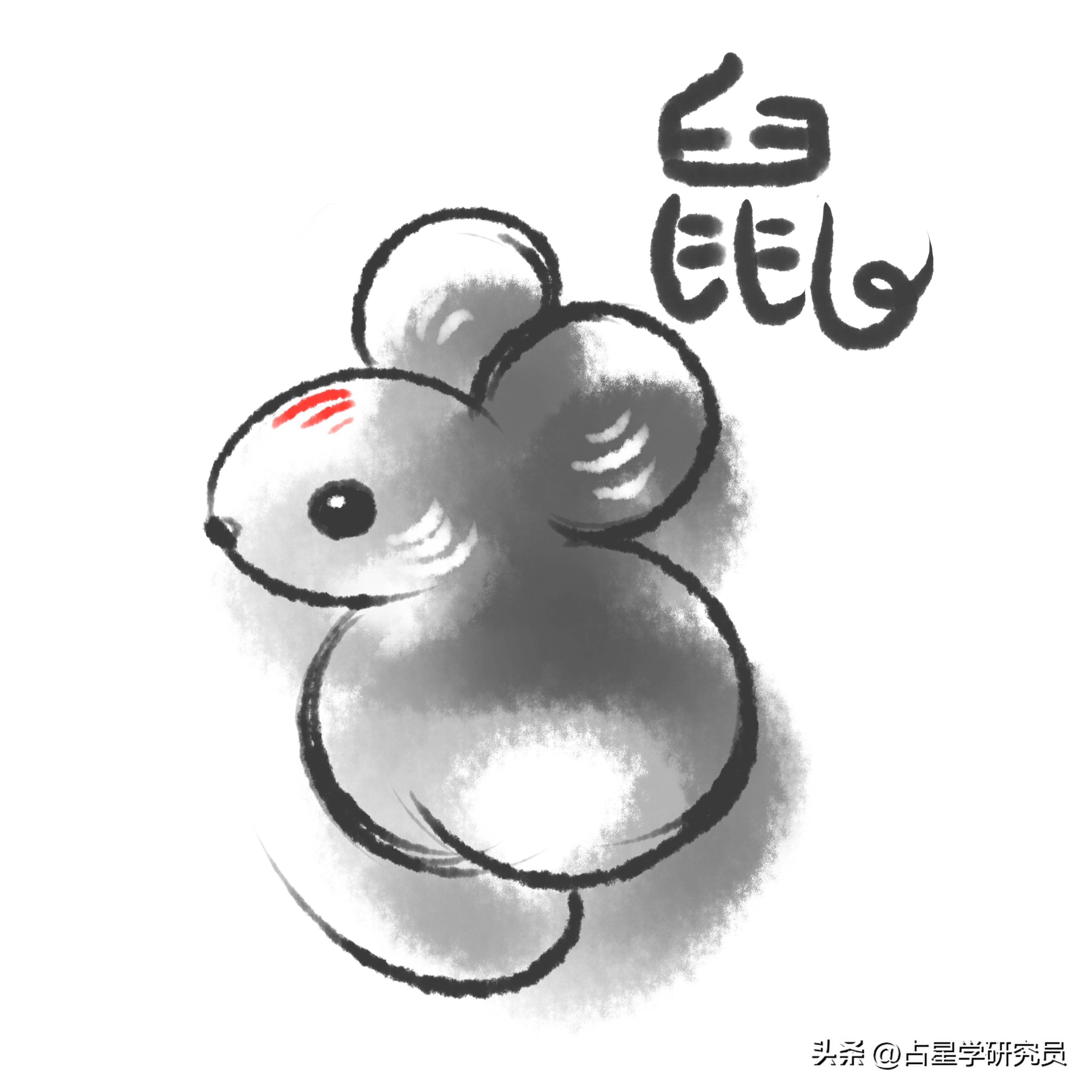 生肖鼠什么时候运势转好(属鼠的运势什么时候能好)