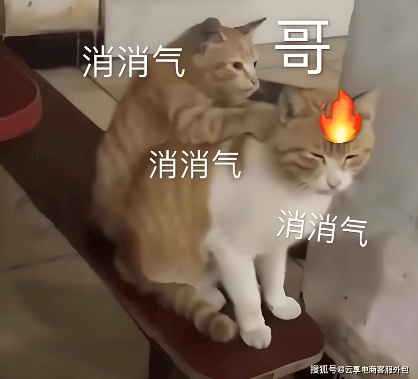 04催单应对篇在催单环节,巧妙运用表情包能提升转化率