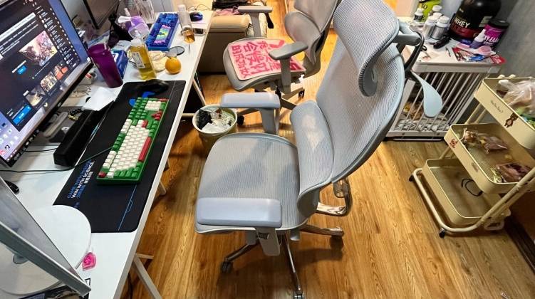 人体工学电脑椅哪个牌子好？盘点多款性价比高的人体工学电脑椅
