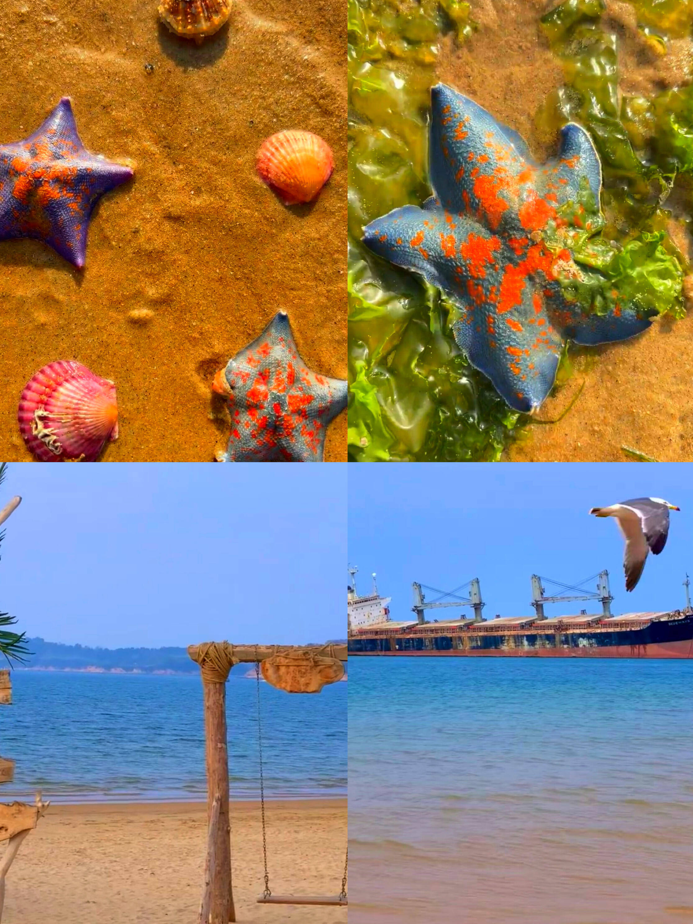 威海两天旅游美食打卡篇