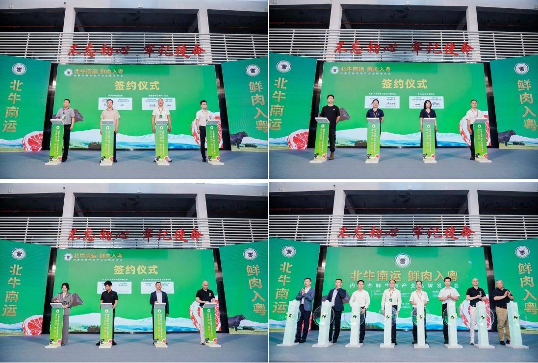 “北牛南运 鲜肉入粤”内蒙古鲜牛肉品牌发布会在深圳启幕