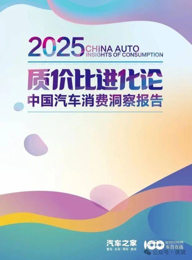 2025中国汽车消费洞察报告