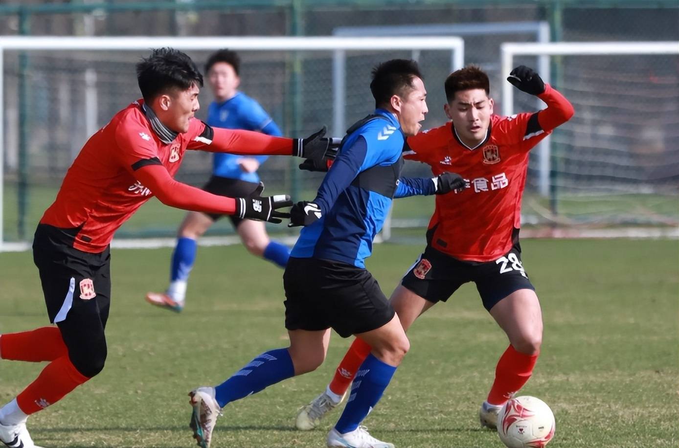 大连英博重磅引援：26岁巴甲锋霸佩尼亚加盟，李国旭战术升级