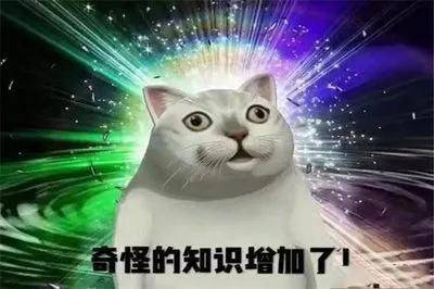 女性私处颜色深=性生活丰富？关于私处5个不为人知的小秘密