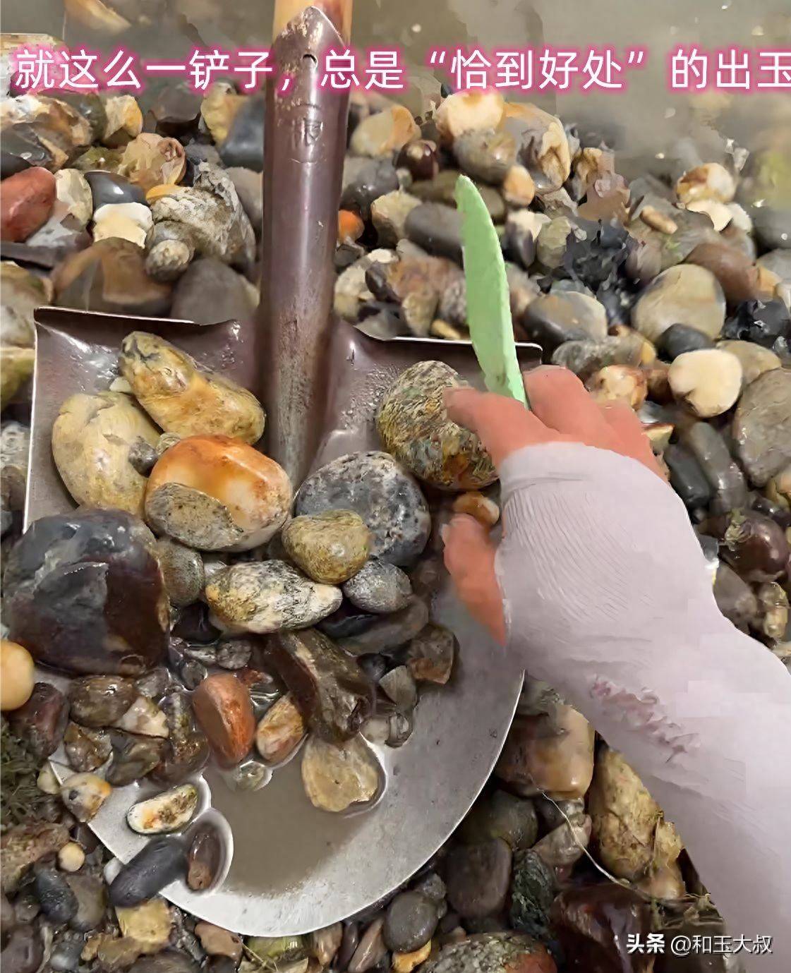 玉石主播玩新招，直播抢玉疑作假，铁锹挖宝坑老铁智商_玉大叔_和田玉_