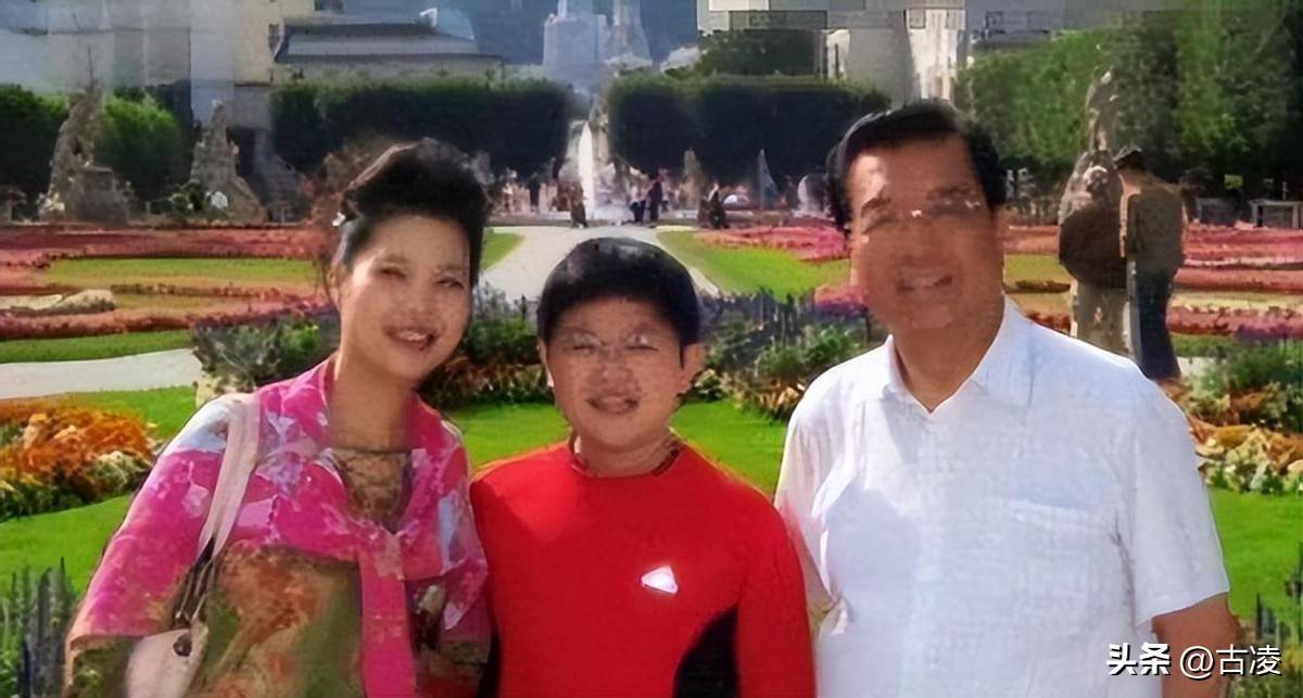 李双江长子李贺:没有享受过李天一的生活,却成为父亲和继母依靠