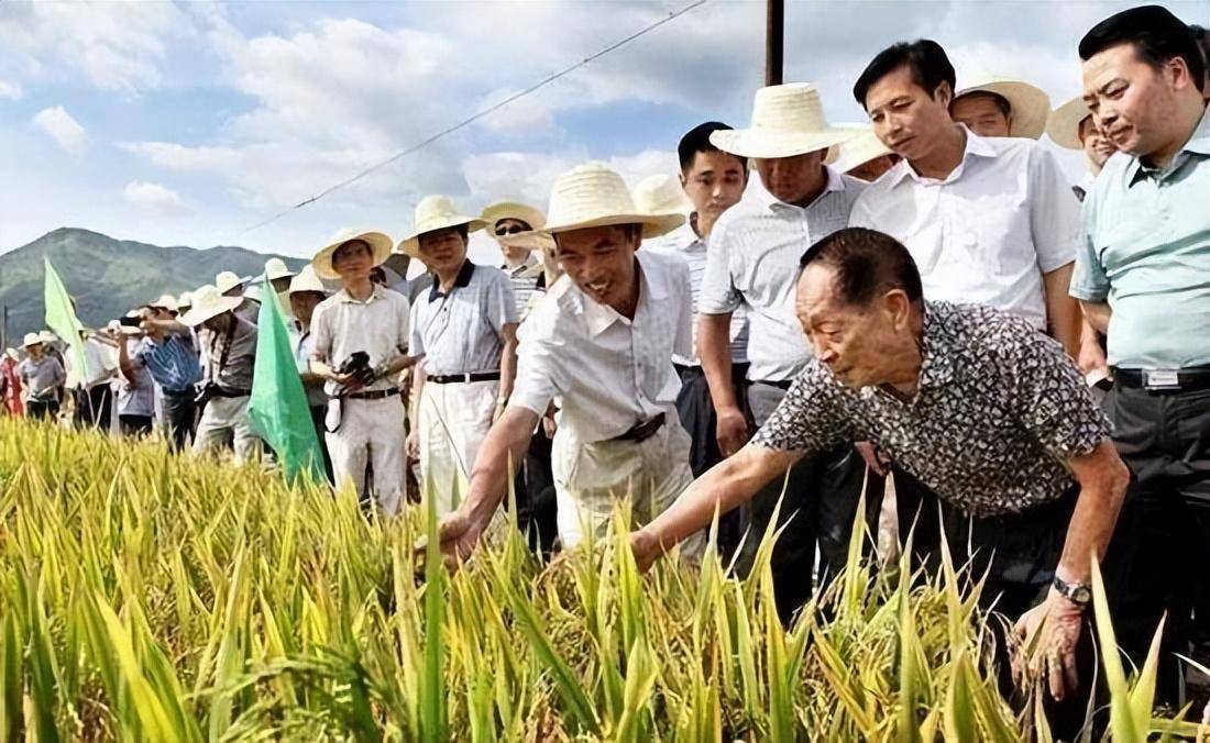 袁隆平孙女上学,老师问:你爷爷是干什么的?孙女:看天气预报的