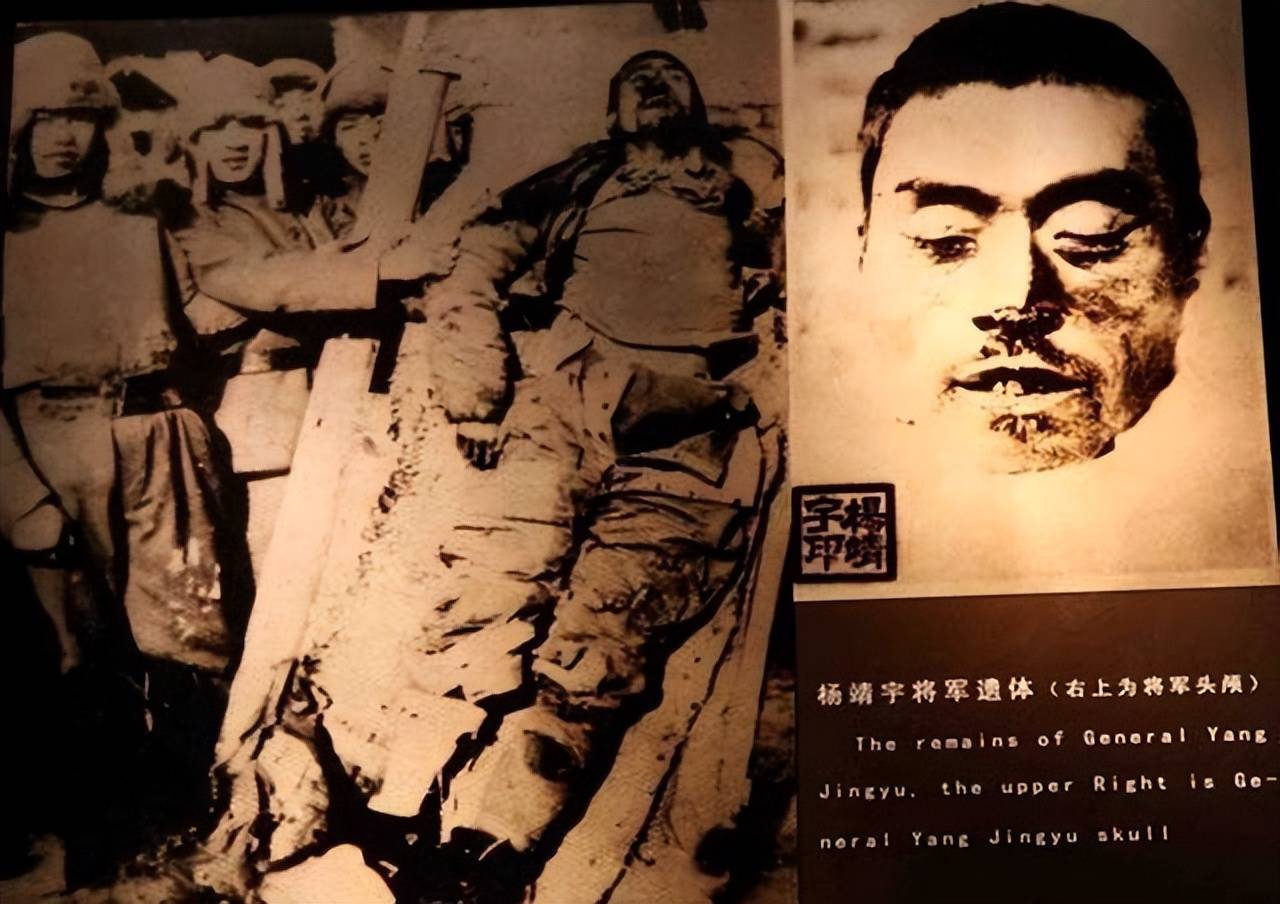 然而,虽然日伪军的残酷追捕是导致杨靖宇牺牲的直接原因,背后的叛徒却