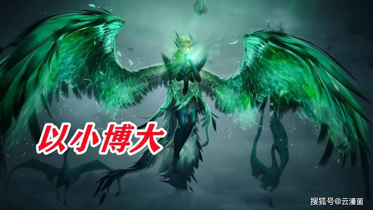 傻妞妞广场舞24步_臭棋是什么意思_