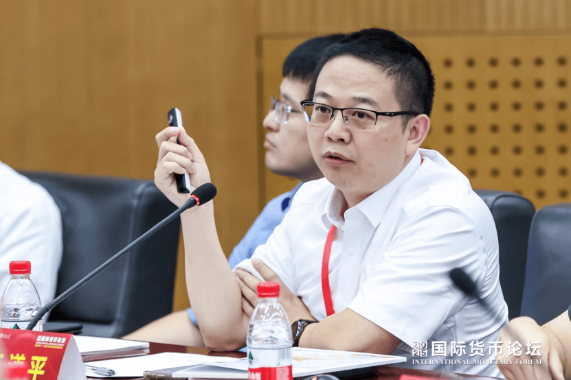 2025国际货币论坛主题论坛一成功举办 聚焦“地缘经济风险前沿研究成果”(图3)