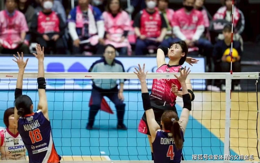 日本新星秋本美空加盟德甲豪门，中国排球何时迎头赶上？