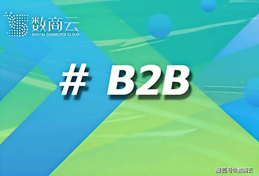 B2B网站平台开发新标杆：数商云以技术深耕与行业洞察重塑产业互联网生态