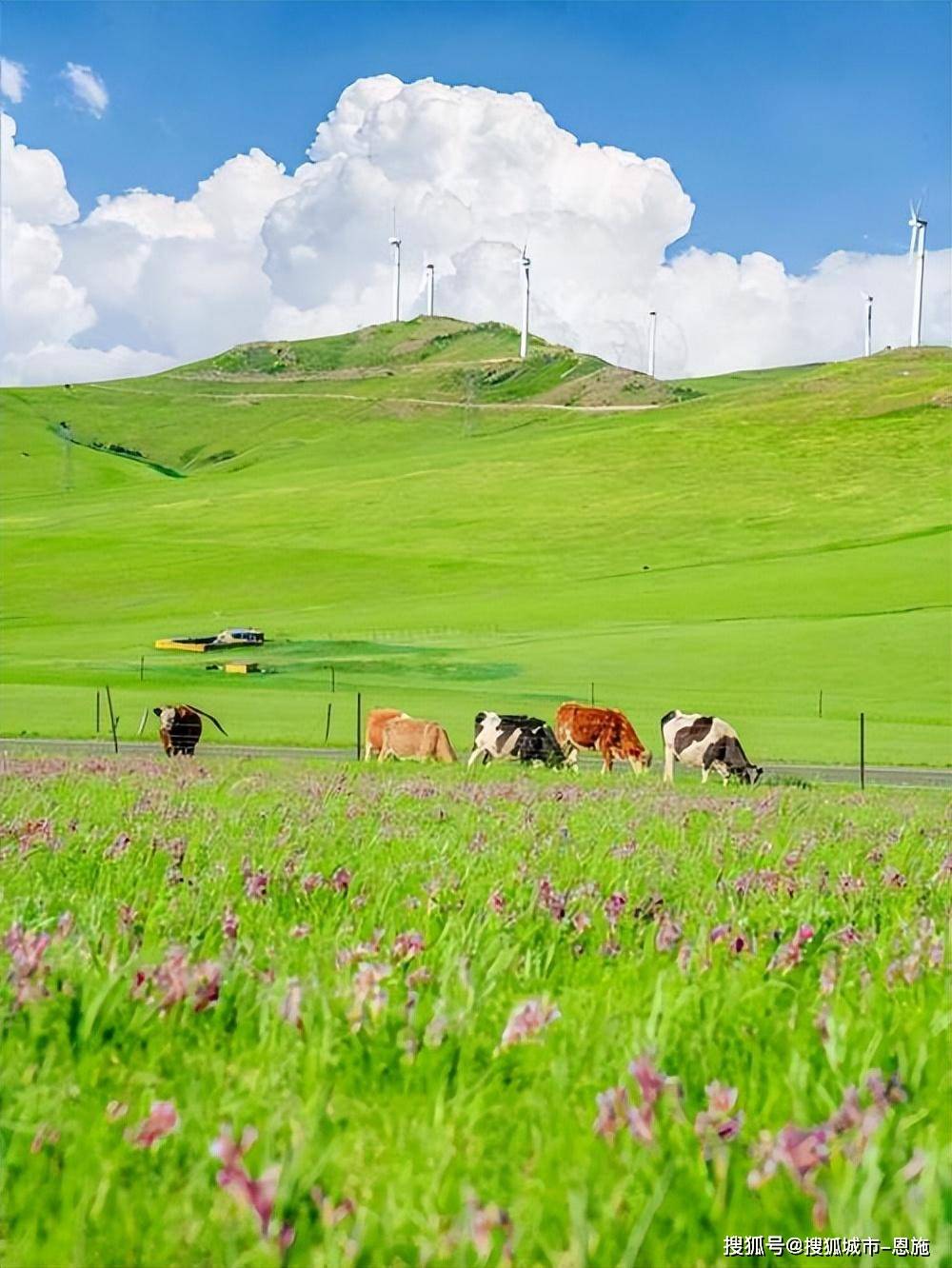 内蒙古敕勒川五天四晚纯玩团多少钱,想省钱的一定要看