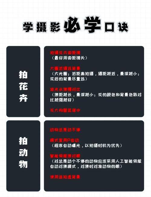拍摄影教学视频教程，技巧大全