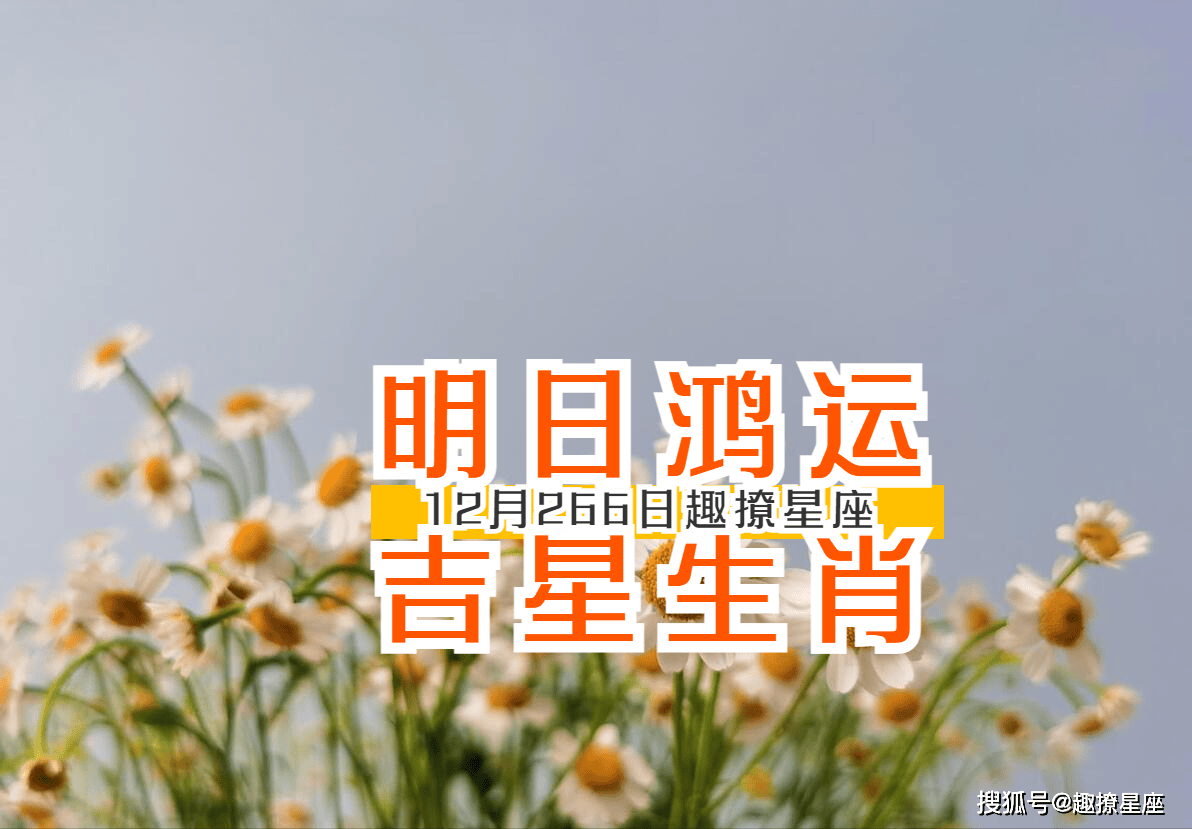 今天生肖牛生肖鸡运势如何(今天生肖牛生肖鸡运势如何呢)