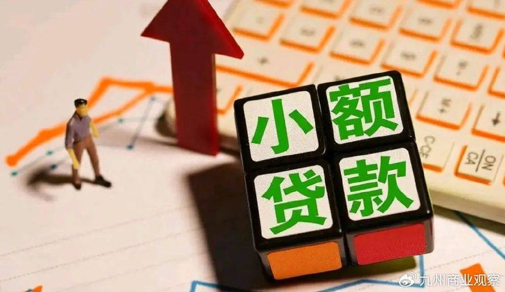 数融小贷却被指“双面操作”:旗下榕树贷款乱象引质疑(图1)