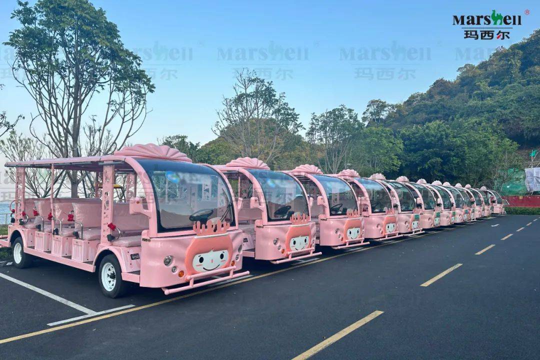 玛西尔珊瑚公主二十三座观光车