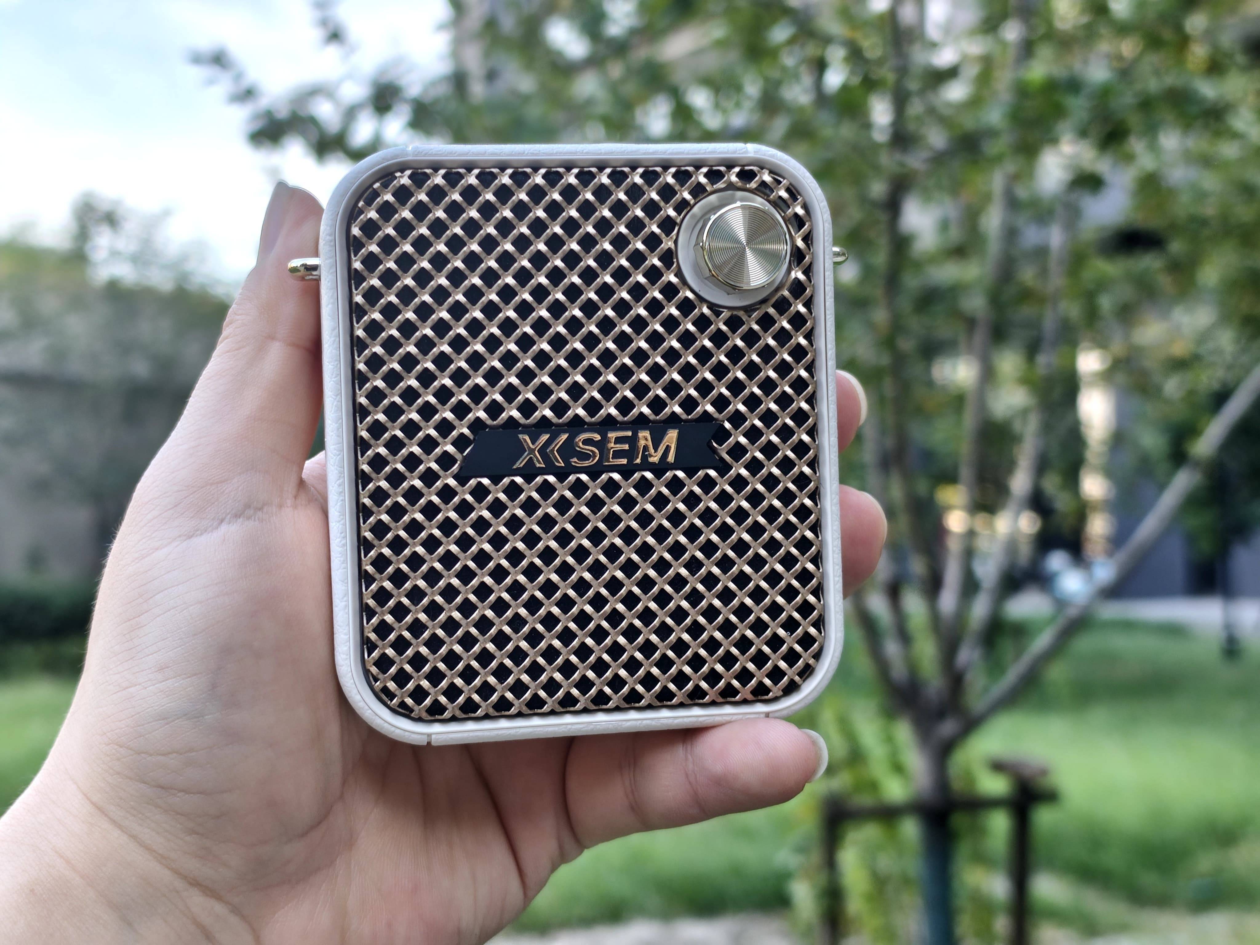 百元价位的最强小蜜蜂！西圣Bee重塑扩音标准，教师导游必备神器