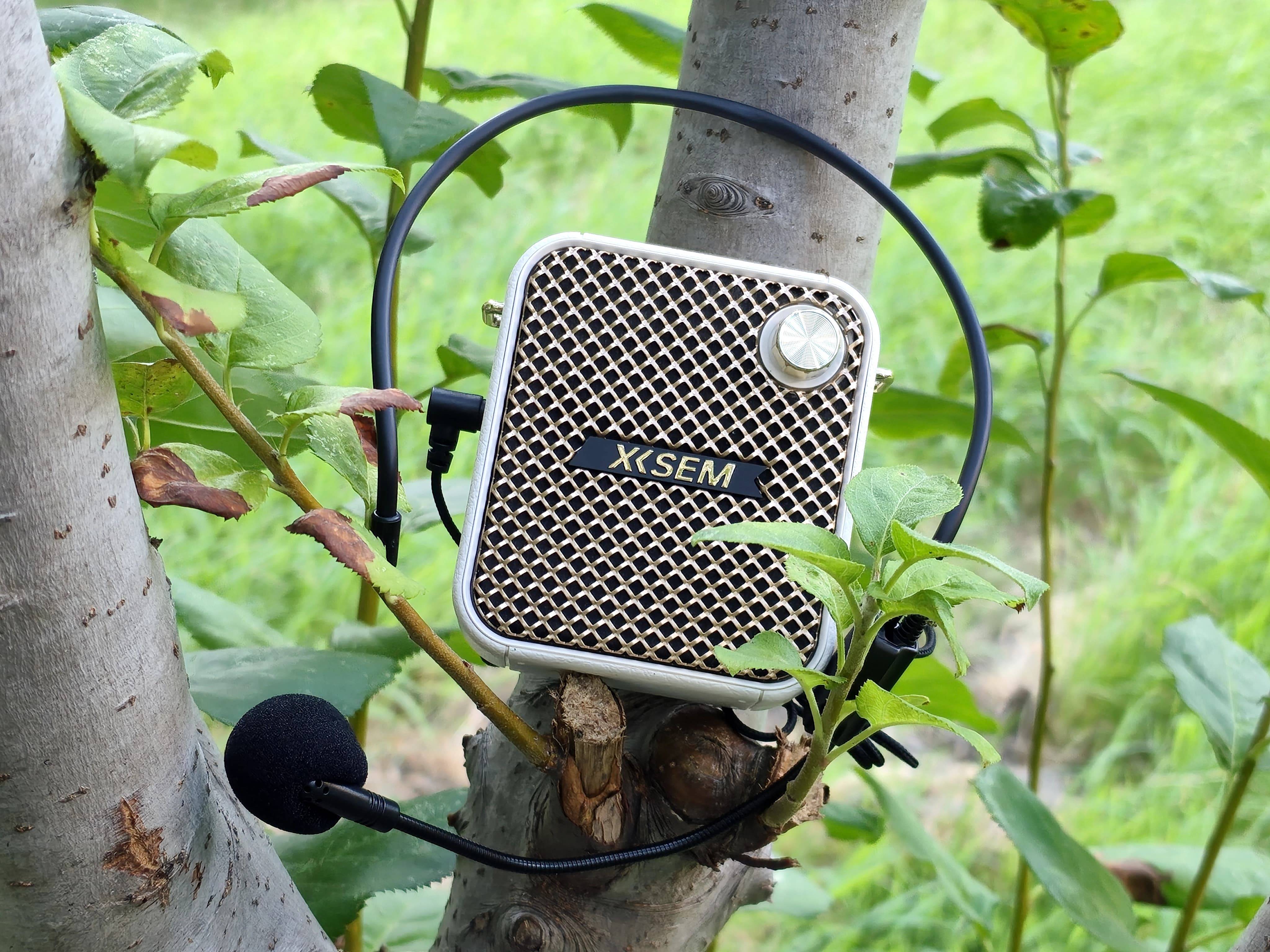 百元价位的最强小蜜蜂！西圣Bee重塑扩音标准，教师导游必备神器