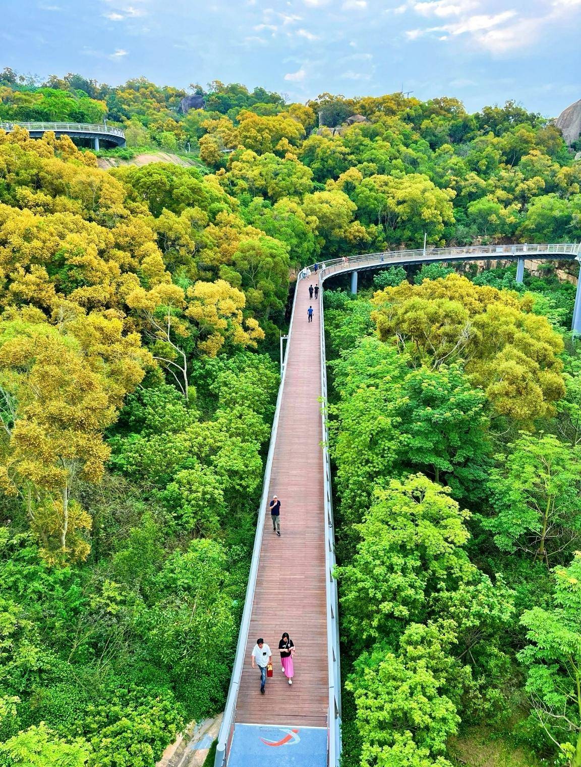 厦门山海健康步道,23公里的云海线和31公里的林海线,串联山海