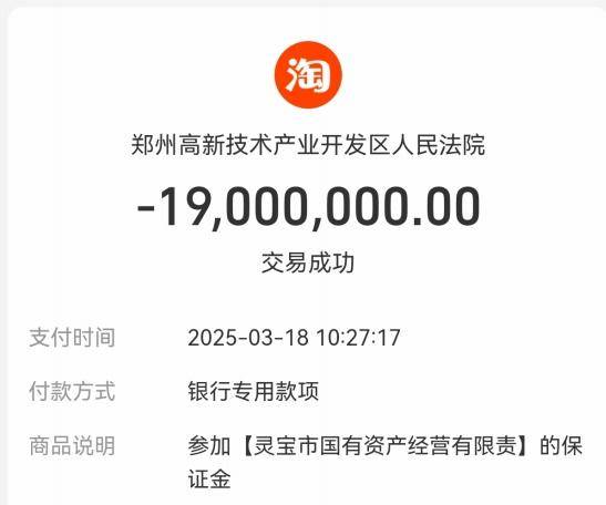 企业近2亿元拍下灵宝黄金7354万股股份:付款5个月也未过户(图3)