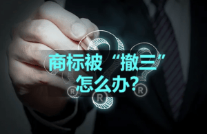 买商标费用构成_商标出售价格大概是多少_商标交易成本分析