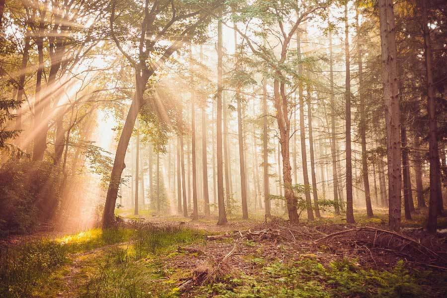 女足青训体系不断完善，U16梯队涌现多名潜力新星？