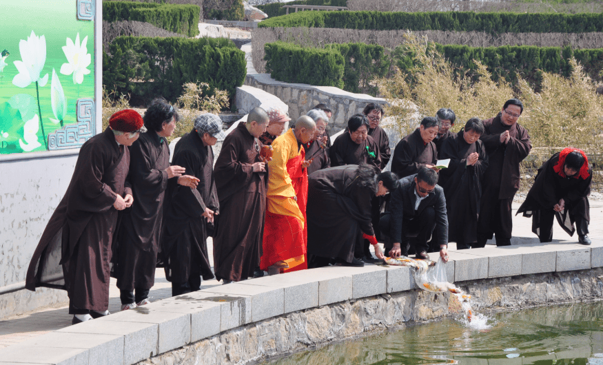 家人杀生超度的简单介绍
