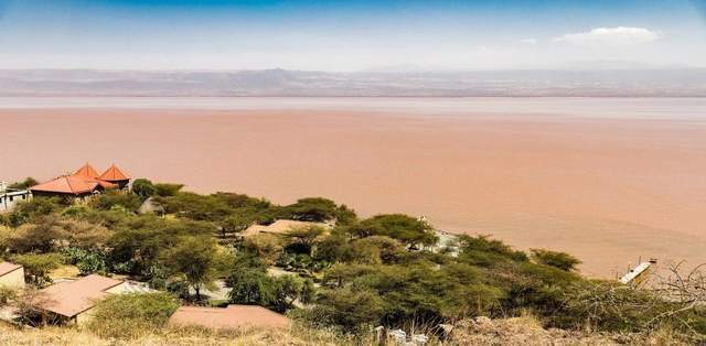 图片[3]-非洲的钱，从来不会好赚，但永远有人能赚到 -华闻时空