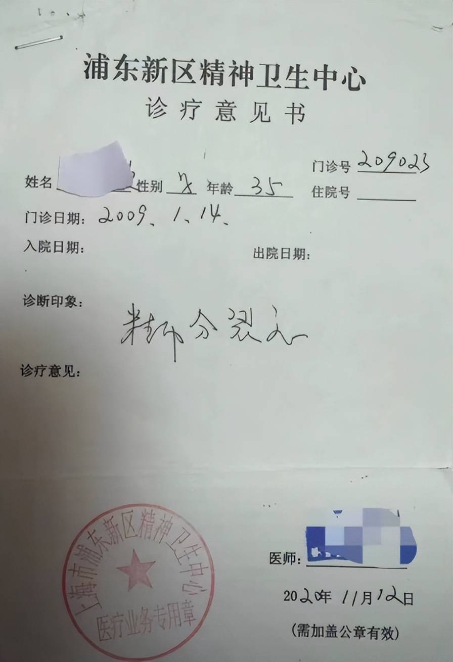 全程不过半小时的聊天,医生没开药方,没给病历,更没提 "生病" 二字