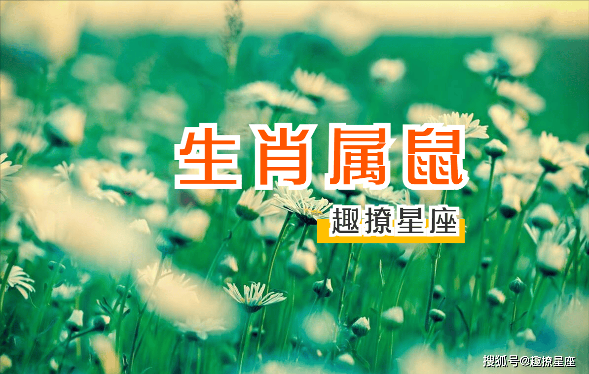 11月2日生肖鼠运势怎样(2021年11月2号生肖运势易星网)