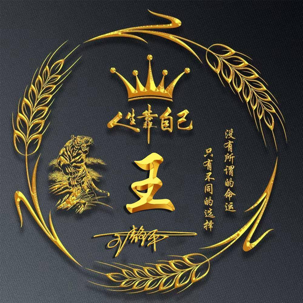 2025姓氏签名头像新风向:55款定制设计,喜欢请带走