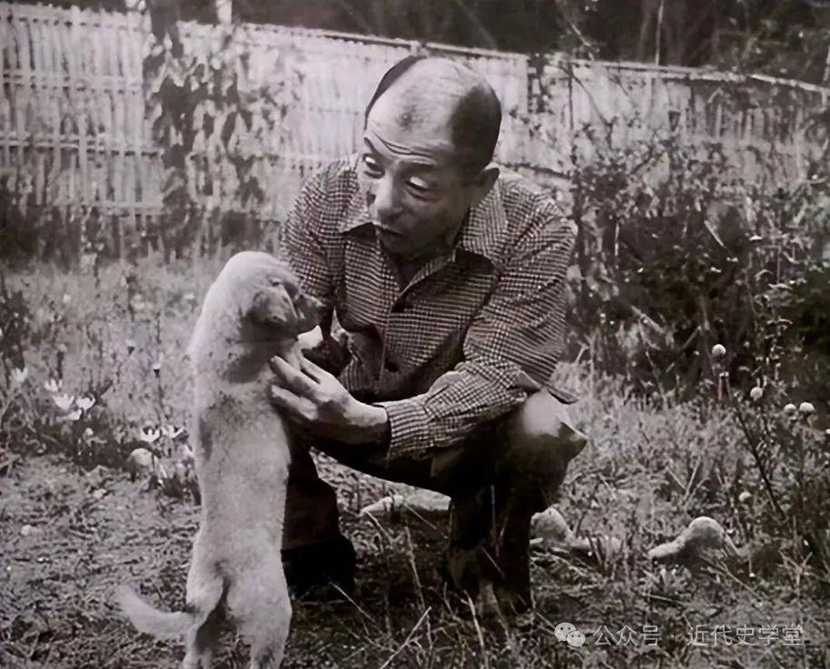 张学良为什么被囚禁不跑为什么在线