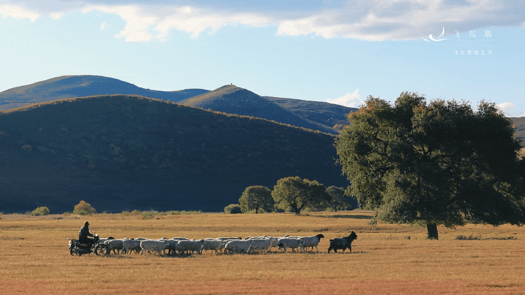 国庆不排长队的草原,嘎嘎出片