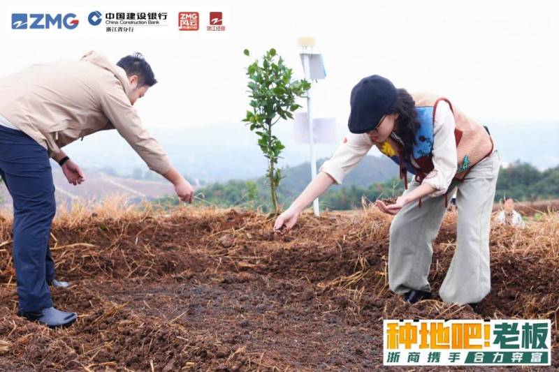 浙商集结，“种地吧！老板”开启区域联动新主线任务！