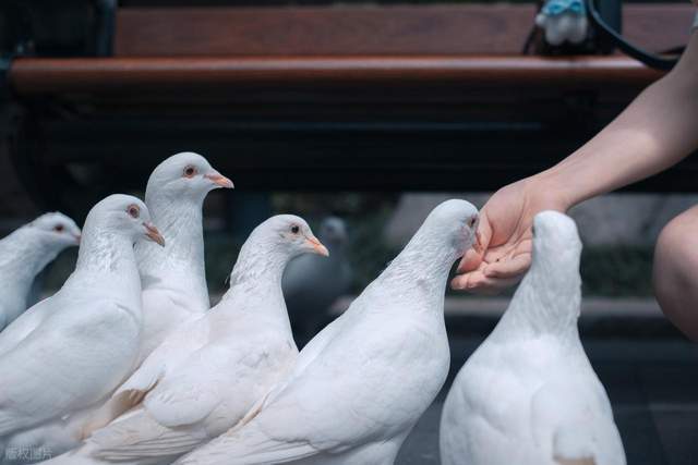 图片[4]-墨西哥晚上八点后禁止卖薯片？这些奇怪的法律，你知道几个？ -华闻时空