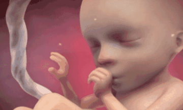 子宫里的水为什么要叫＂羊水＂, 而不是＂人水＂,或者其他的水？