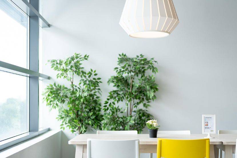 甘肃大手印玫瑰科技公司飞检查出严重缺陷：已被