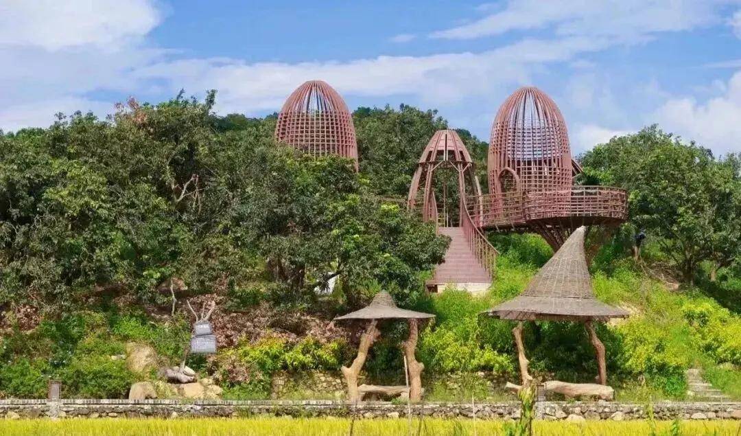 【广州三大秋色】11月15日丨上罗千亩柿子海+艾米稻香小镇+罗洞工匠小镇